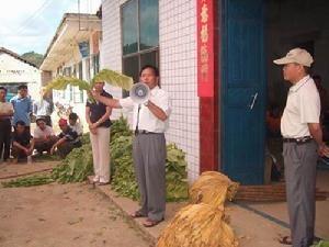 烤烟中后期管理培训现场会