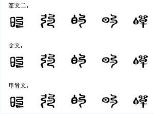 的的演变过程
