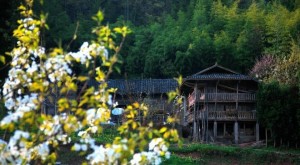 石柱县土家吊脚楼