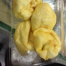 炸羊尾