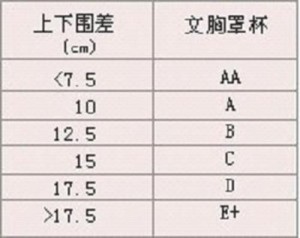 C罩杯