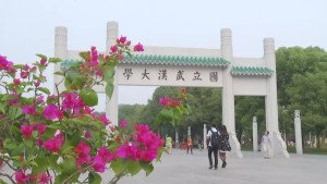 武汉大学