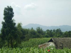 从富贵山向南远望是官田湾