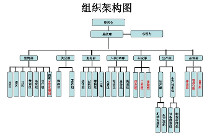 组织结构图