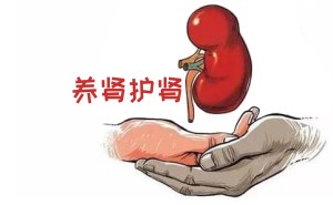 养肾