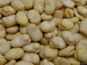 300