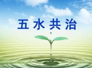 五水共治