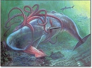 大王乌贼和抹香鲸搏斗想象图