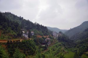 东子山村