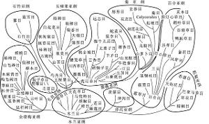 塔赫他间系统