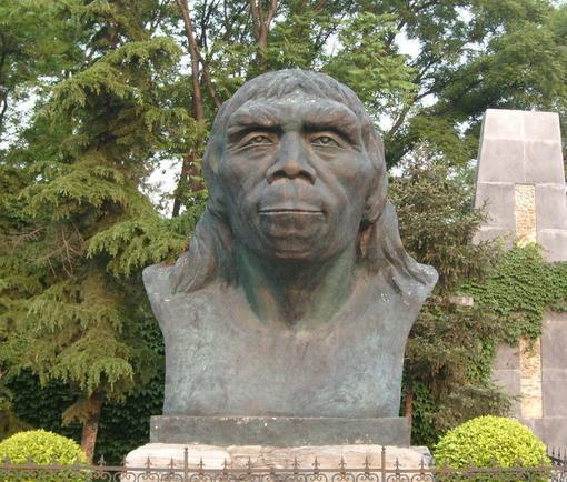 北京人(北京猿人) - 搜狗百科