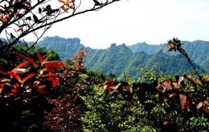 石柱县自然风光