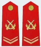 武警三级士官肩章(2007—2009)