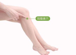阳陵泉