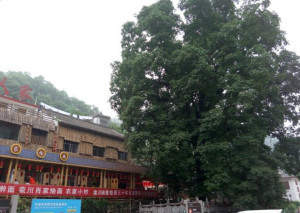 重渡沟自然风景区