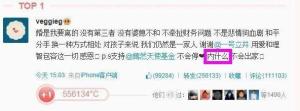 内什么王菲体走红
