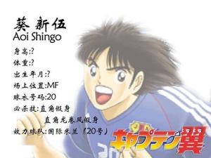 《足球小将》葵新伍