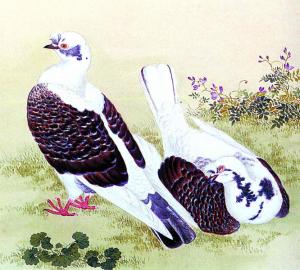 鹤秀
