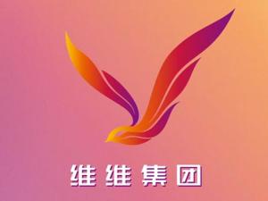 维维集团