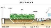 生物净化技术