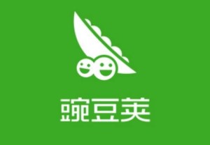 豌豆荚 安卓应用管理软件 搜狗百科
