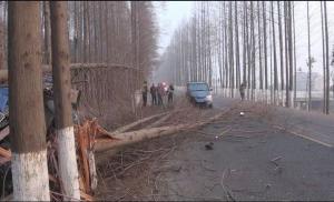 货车撞树人被困 过路的哥救人送医