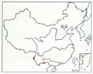 分布图片