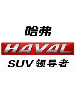 haval参考资料:1.哈弗汽车词条标签:合作编辑者