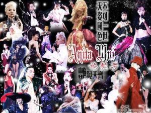 《梦伴》演唱者：梅艳芳