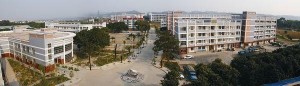 田东职业技术学校