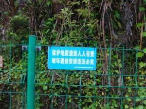 草鱼塘