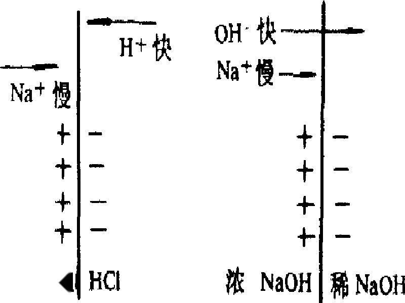 不同浓度的电解质溶液相接触