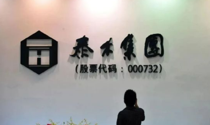 泰禾集团