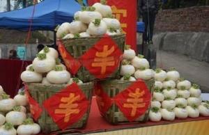 中国·重庆·綦江赶水草蔸萝卜节