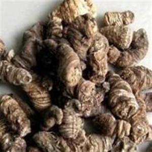 重楼草 - 搜狗百科