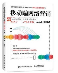 国内网络营销基础环境 300