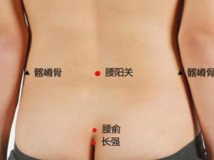 腰阳关穴