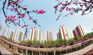 美丽的新衡水