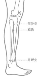 阳陵泉
