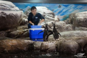 上海海洋水族馆