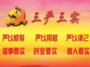 三严三实