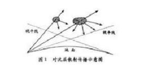 相关图片