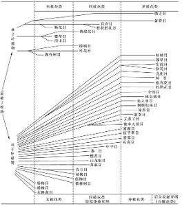 恩格勒系统