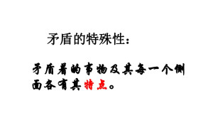 矛盾特殊性