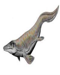 海王龙(3)海王龙(拉丁学名:tylosaurus),沧龙科海