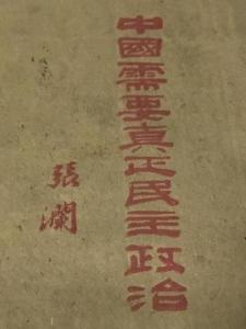 《中国需要真正民主政治》