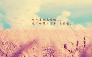 桌面壁纸图