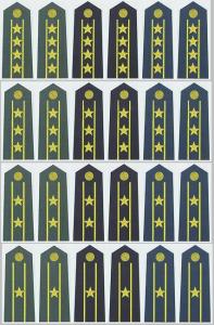 解放军2007式校官军衔肩章