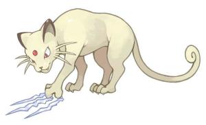 猫老大