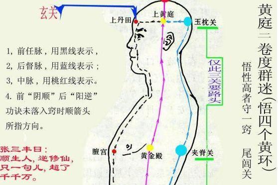 性命双修_搜狗百科